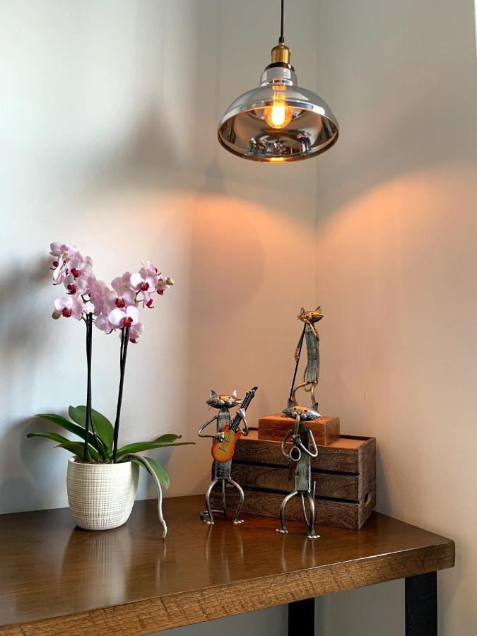 Blue Horse Apartment In New Polanco. Mexiko-Stadt Exterior foto